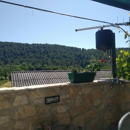 ホテル Milica App Skradinsko Polje 24 エクステリア 写真